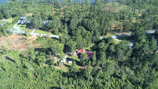 207 Cedar Rd, Plum Branch, SC 29845 - photo 27