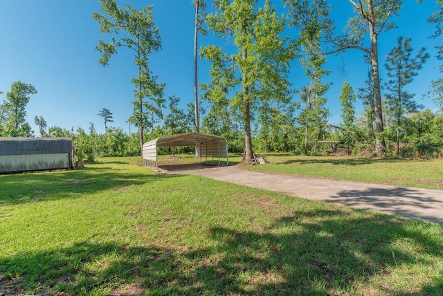 207 Cedar Rd, Plum Branch, SC 29845 - photo 5