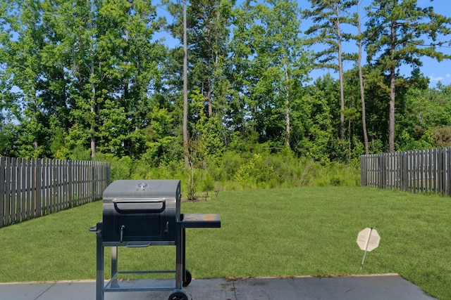 120 Dublin Loop, Grovetown, GA 30813 - view of yard