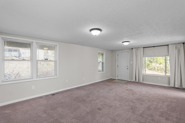 spare room featuring carpet floors, a textured ceiling, and a healthy amount of sunlight