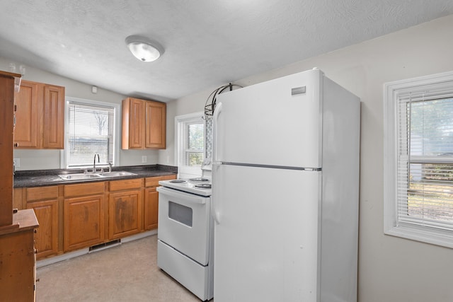 kitchen with a healthy amount of sunlight, sink, white appliances, and a textured ceiling