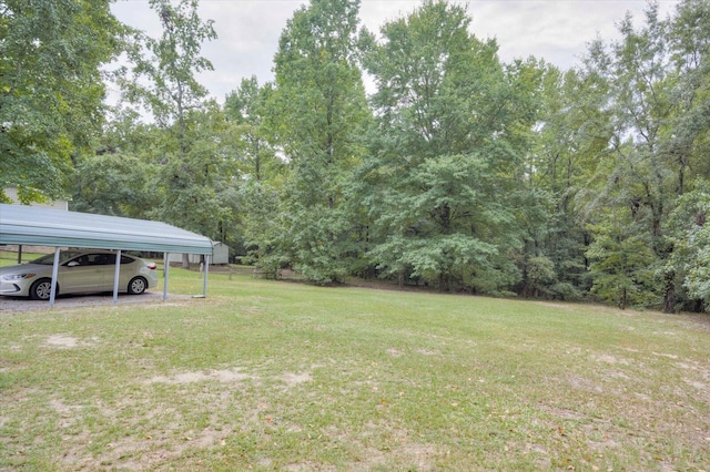 view of yard featuring a carport