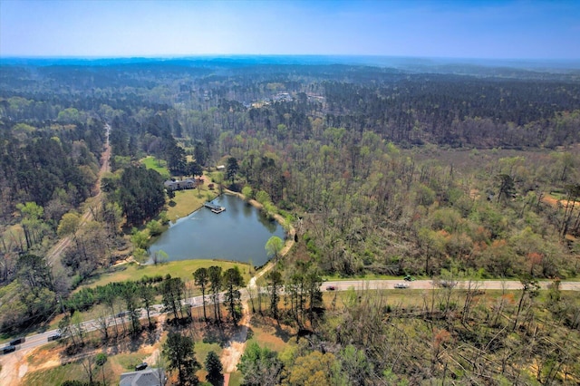 4512 Hardy Mcmanus Rd, Evans, GA 30809 - drone / aerial view featuring a wooded view and a water view