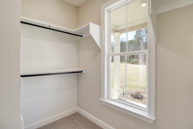 walk in closet with carpet