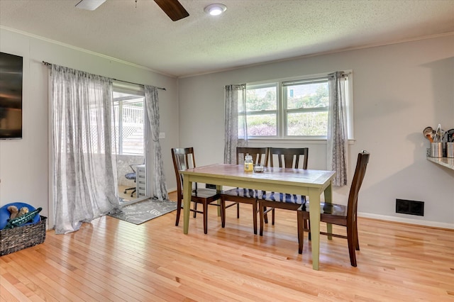 3114 Sussex Rd, Augusta, GA 30909 - dining space featuring crown molding, light wood-type flooring, plenty of natural light, a textured ceiling, and a ceiling fan