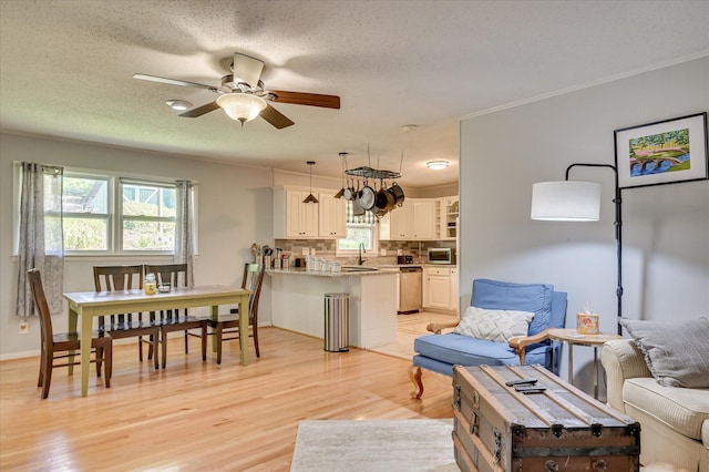 3114 Sussex Rd, Augusta, GA 30909 - living area with healthy amount of natural light, light wood-style floors, a ceiling fan, crown molding, and a textured ceiling