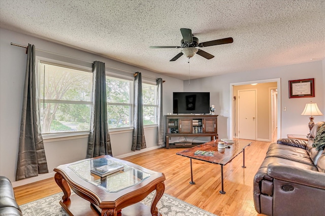 3114 Sussex Rd, Augusta, GA 30909 - living room featuring ceiling fan, a textured ceiling, and light wood-style floors