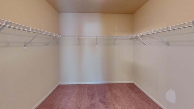 195 Sims Ct, Augusta, GA 30909 - walk in closet with carpet floors
