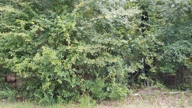 LOT27 Fairway Dr, New Ellenton, SC 29809