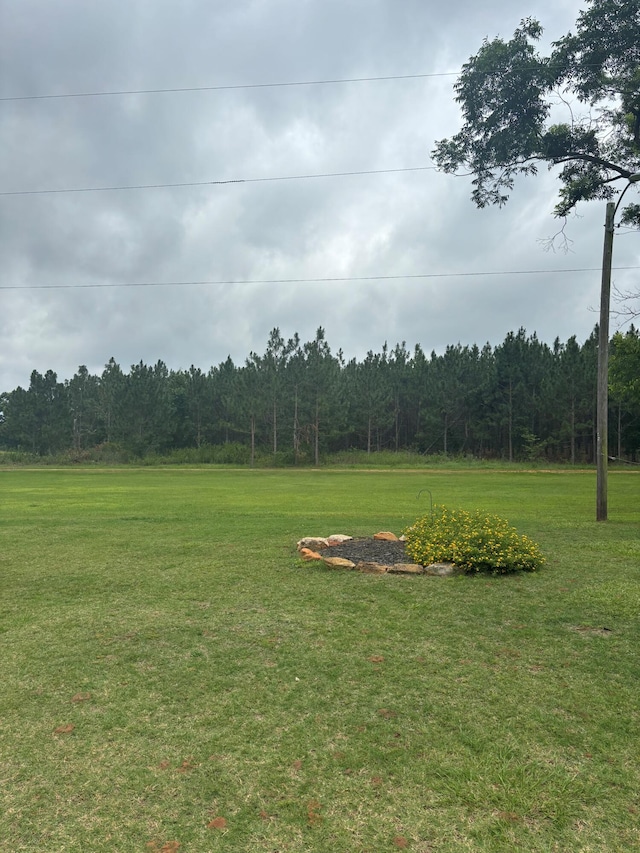 2023 Gamble School Rd, Stapleton, GA 30823 - view of grassy yard with a forest view