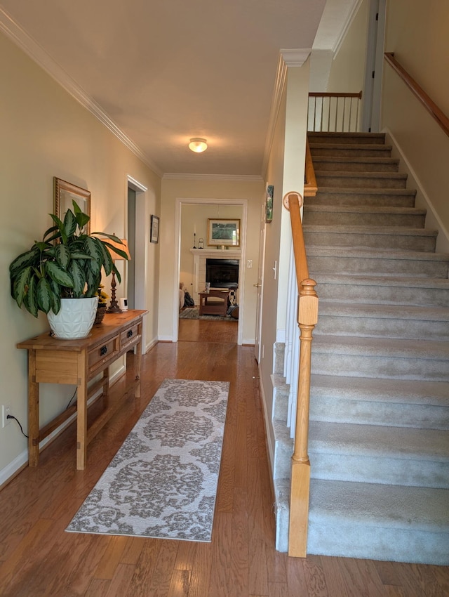 stairway with crown molding, wood finished floors, a fireplace, and baseboards