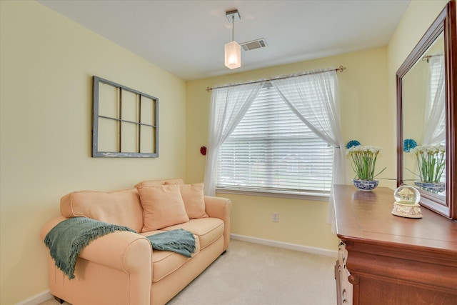 4418 Peregrine Pl, Martinez, GA 30907 - photo 39