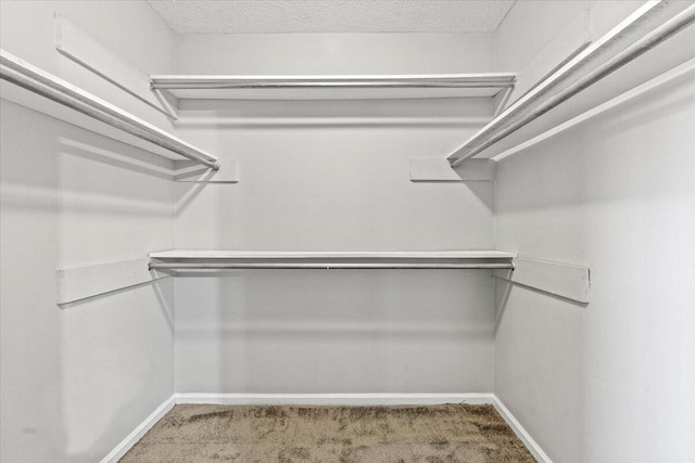 walk in closet featuring carpet flooring