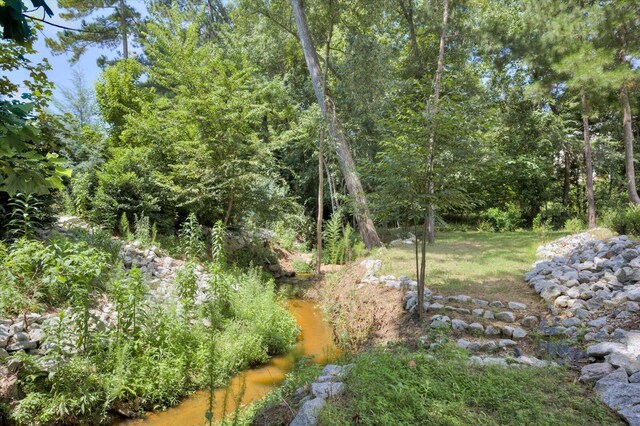 view of local wilderness