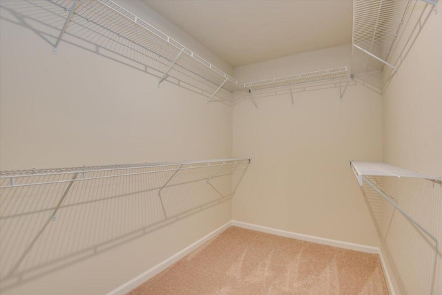 spacious closet with light colored carpet