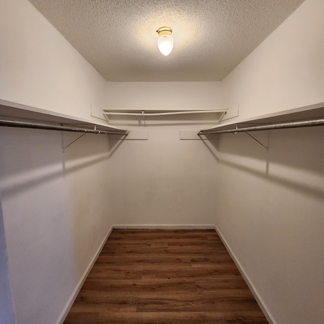 spacious closet featuring dark hardwood / wood-style flooring