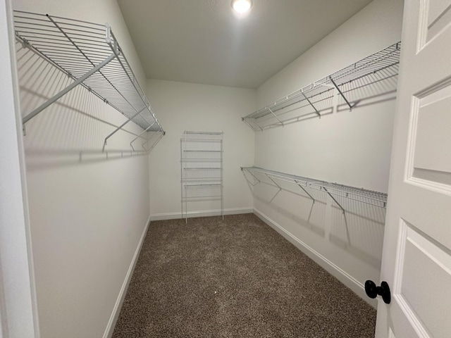 spacious closet with dark colored carpet