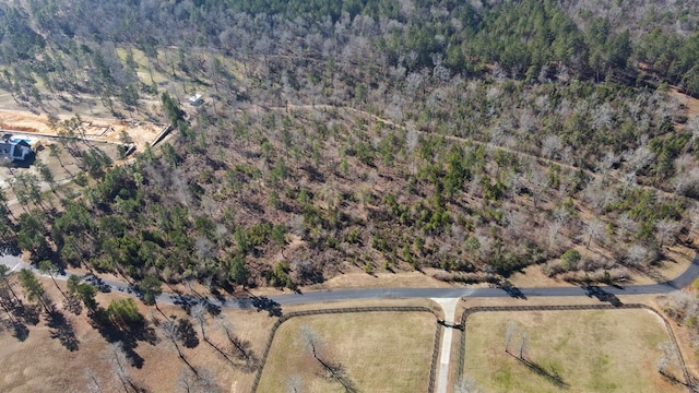 965 Grand Prix Dr, Beech Island, SC 29842 - photo 3