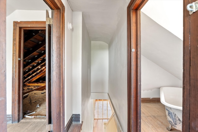 946 Milledge Rd, Augusta, GA 30904 - hallway featuring wood finished floors
