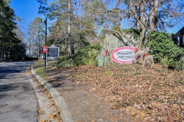 view of street featuring curbs