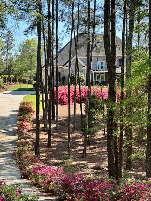 3005 Timber Woods Dr, Appling, GA 30802 - view of home's community