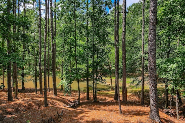 3005 Timber Woods Dr, Appling, GA 30802 - view of local wilderness