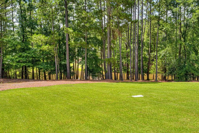 3005 Timber Woods Dr, Appling, GA 30802 - view of green lawn