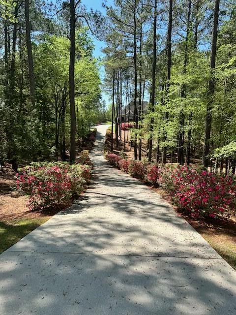 3005 Timber Woods Dr, Appling, GA 30802 - view of street