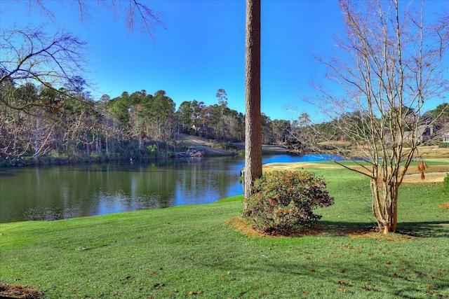 view of water feature