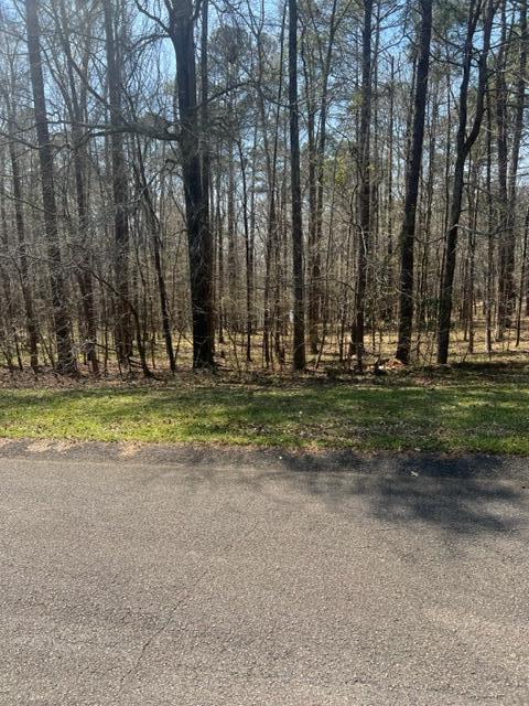 Listing photo 2 for LOT11 Peter Carnes Dr, North Augusta SC 29860