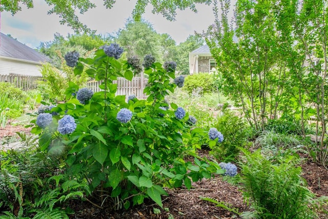 3039 Tarleton Ct, Beech Island, SC 29842 - view of yard
