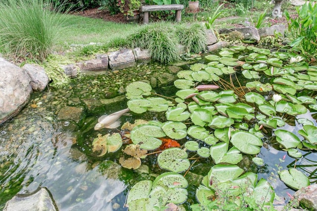 3039 Tarleton Ct, Beech Island, SC 29842 - exterior view of a small pond