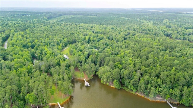 1034 N Pointe Ct, Tignall, GA 30668 - drone / aerial view of a nearby body of water