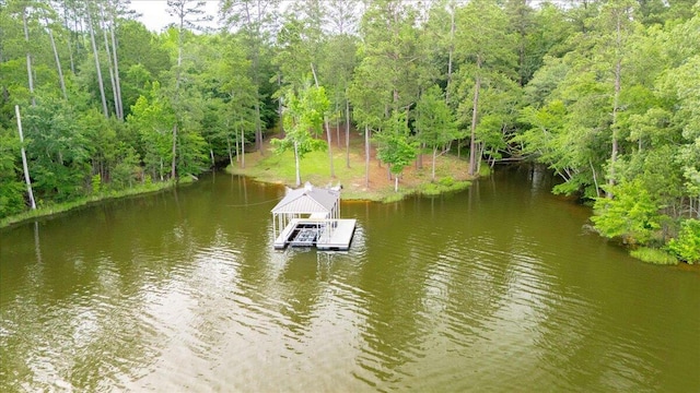 1034 N Pointe Ct, Tignall, GA 30668 - dock area with a water view and a forest view