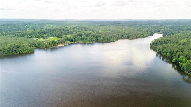1034 N Pointe Ct, Tignall, GA 30668 - drone / aerial view of a nearby body of water