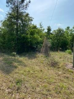 082B213 Anns Way Jackson, Unit Jackson, Waynesboro GA, 30830 land for sale