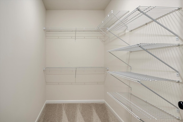 1962 Bunting Dr, North Augusta, SC 29841 - spacious closet with carpet floors