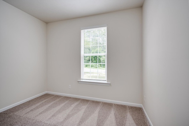 1962 Bunting Dr, North Augusta, SC 29841 - empty room featuring carpet floors