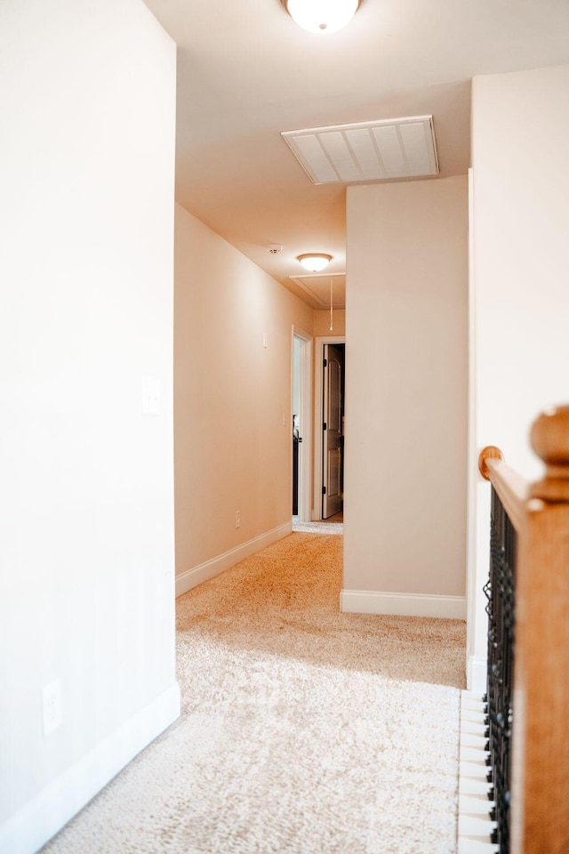 868 Herrington Dr, Grovetown, GA 30813 - photo 38