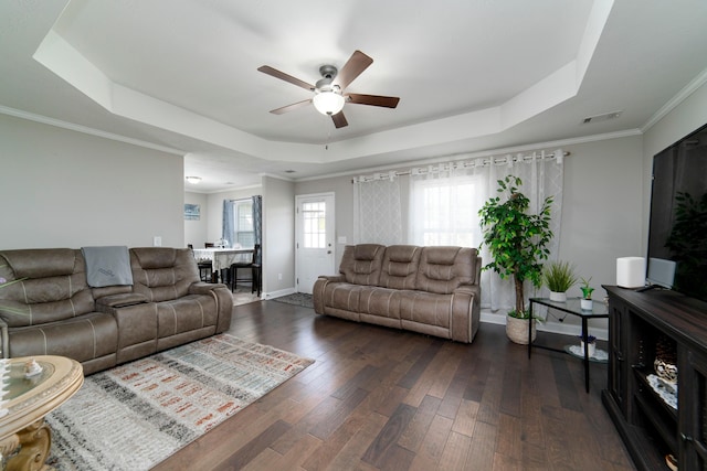 living room featuring ceiling fan, a raised ceiling, dark wood-type flooring, and crown molding