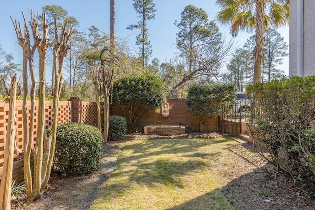 view of yard with a fenced backyard