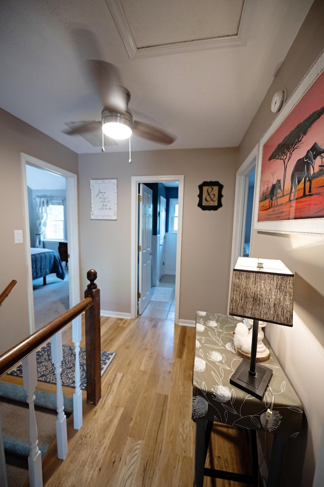 3943 Carson Cutoff, Martinez, GA 30907 - hall with light wood finished floors and an upstairs landing