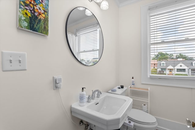 bathroom with a sink, ornamental molding, and toilet