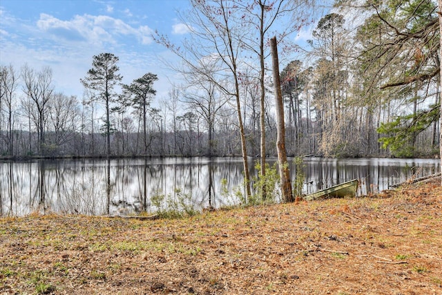 water view with a forest view