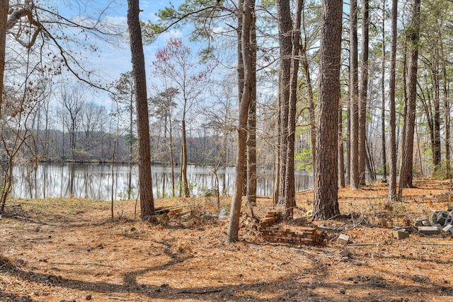 water view featuring a wooded view