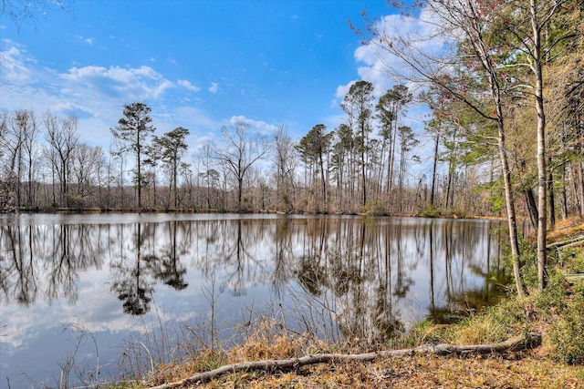 property view of water with a view of trees