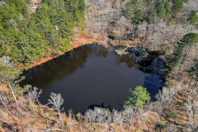 birds eye view of property with a view of trees and a water view