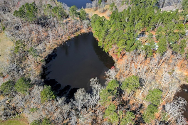 bird's eye view with a forest view and a water view