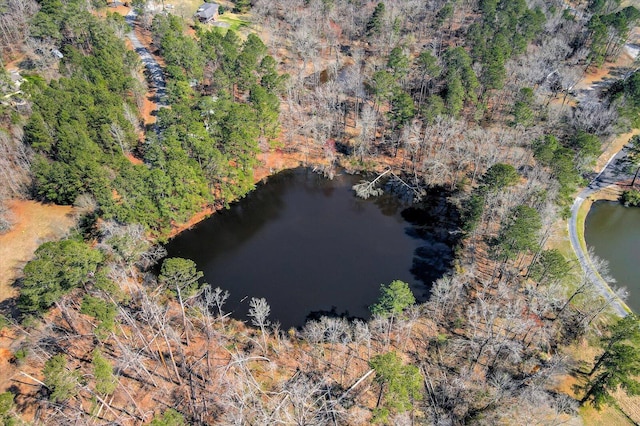 drone / aerial view featuring a forest view and a water view