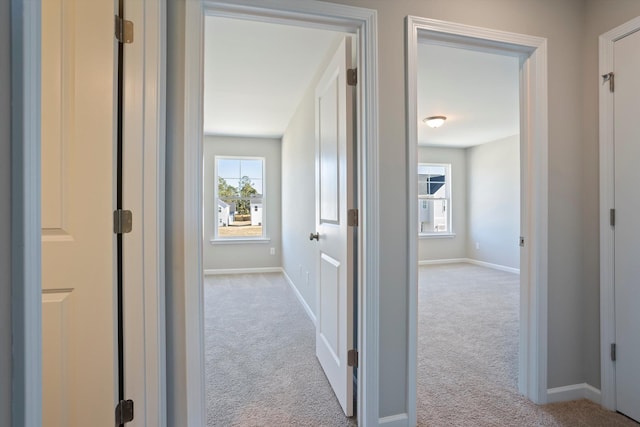 hall featuring a wealth of natural light, carpet flooring, and baseboards